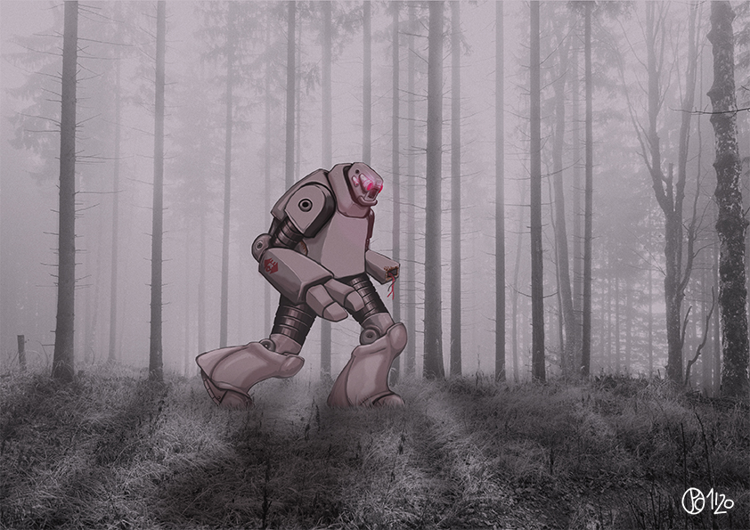 Robot dans les bois